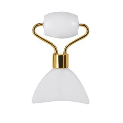 Masseur Facial Herbiax