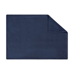Couverture Iridian