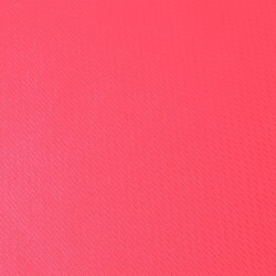 T-Shirt Femme Cocker