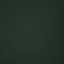 T-Shirt Adulte Couleur Epika