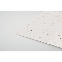 ASIDA Carte de visite pour les graine