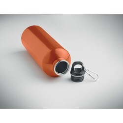 RE-ONE MOSS Bouteille à simple paroi 1L