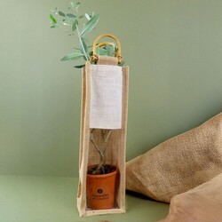 Plant d'arbre sac jute - Feuillus