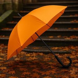 Parapluie golf SING'IN