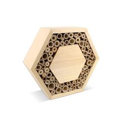 Ruche en bois FSC hexagonal