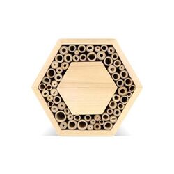 Ruche en bois FSC hexagonal