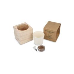 Ensemble de jardinières en bois FSC – Basilic