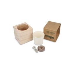 Ensemble de jardinières en bois FSC - Micro-pousses