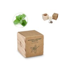 Ensemble de jardinières en bois FSC – Menthe