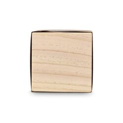 Ensemble de jardinières en bois FSC – Menthe