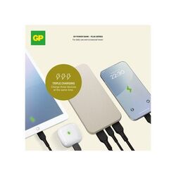 GP B+ Series Powerbank 10000 mAh