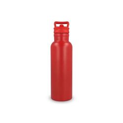 Bouteille isotherme Dario 500 ml