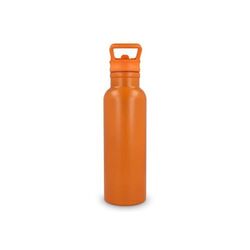 Bouteille isotherme Dario 500 ml