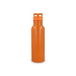 Bouteille isotherme Dario 500 ml