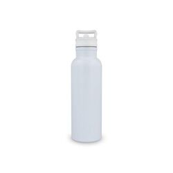 Bouteille isotherme Dario 500 ml