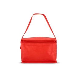 R-PET 6 Sac isotherme non tissé 20x 13 x 12.5cm 75g/m²