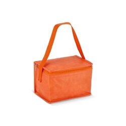 R-PET 6 Sac isotherme non tissé 20x 13 x 12.5cm 75g/m²