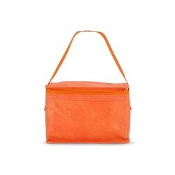 R-PET 6 Sac isotherme non tissé 20x 13 x 12.5cm 75g/m²