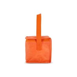 R-PET 6 Sac isotherme non tissé 20x 13 x 12.5cm 75g/m²