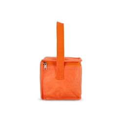 R-PET 6 Sac isotherme non tissé 20x 13 x 12.5cm 75g/m²