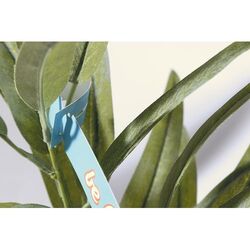 Étiquettes Pour Plantes Planttag