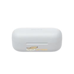 Sony WF-C510 Wireless Earbud (Noir, Impression en couleur)