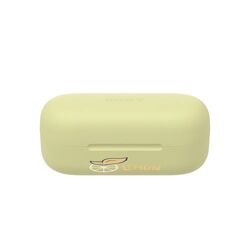 Sony WF-C510 Wireless Earbud (Noir, Impression en couleur)