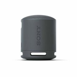 Sony Bluetooth Speaker SRS-XB100