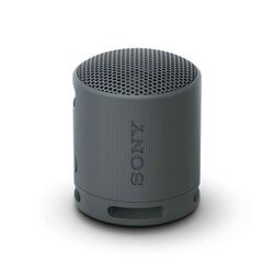 Sony Bluetooth Speaker SRS-XB100