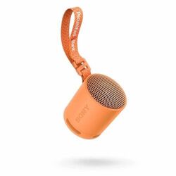 Sony Bluetooth Speaker SRS-XB100 (Noir, Impression thermique)