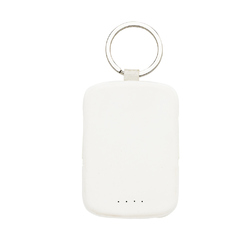 Porte-clés powerbank 2000mAh et câbles intégrés Nexo RCS