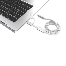 Câble de recharge rapide 60W 2-en-1 Arc RCS
