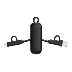 Câble 100W porte-clés 4-en-1 Urban Vitamin Dublin