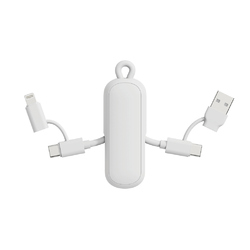 Câble 100W porte-clés 4-en-1 Urban Vitamin Dublin