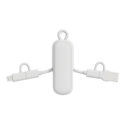 Câble 100W porte-clés 4-en-1 Urban Vitamin Dublin