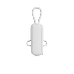 Câble 100W porte-clés 4-en-1 Urban Vitamin Dublin