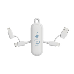 Câble 100W porte-clés 4-en-1 Urban Vitamin Dublin