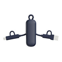 Câble 100W porte-clés 4-en-1 Urban Vitamin Dublin