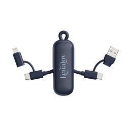 Câble 100W porte-clés 4-en-1 Urban Vitamin Dublin