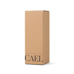 VINGA Bouteille Isotherme 600ml Cael en acier RCS