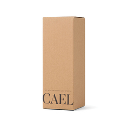 VINGA Bouteille Isotherme 600ml Cael en acier RCS