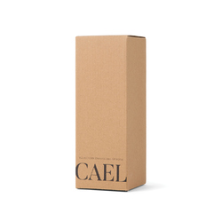 VINGA Bouteille Isotherme 600ml Cael en acier RCS