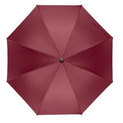 RAYNA Parapluie ouverture auto 27