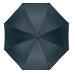 RAYNA Parapluie ouverture auto 27