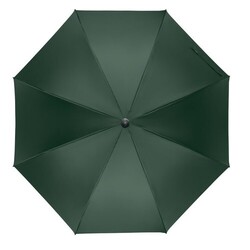 RAYNA Parapluie ouverture auto 27