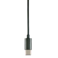 GRUNDIG In-ear Earphones ANC with USB-C Connection