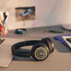 Sony Headphone WH-CH 520