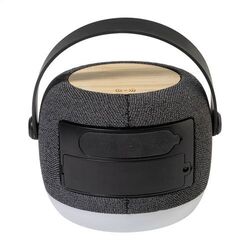 Enceinte Sans Fil Avec Chargeur Luzfi
