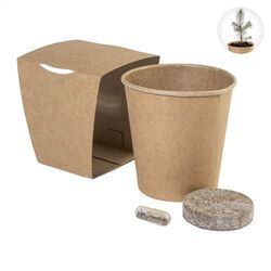 Set De Culture Pour Sapin De Noël MerryGrow