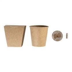 Set De Culture Pour Sapin De Noël MerryGrow